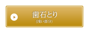 歯石とり (浅い部分) 
