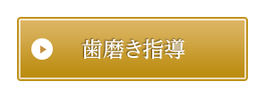 歯磨き指導